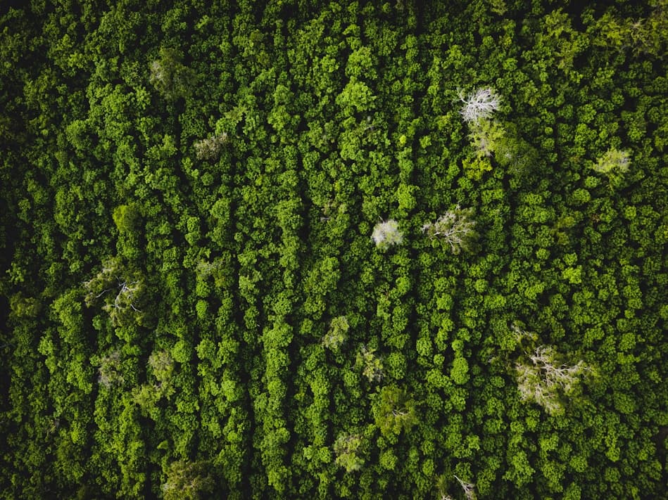 Ми в новинах: дізнайтеся, як ми змінили підхід до екології!